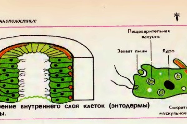 Кракен купить наркоту