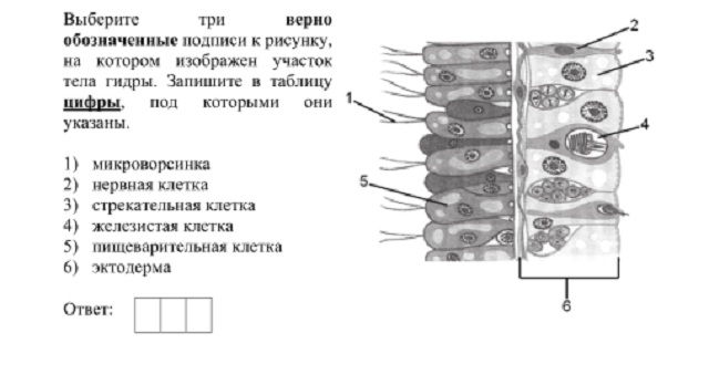 Маркетплейс кракен kraken